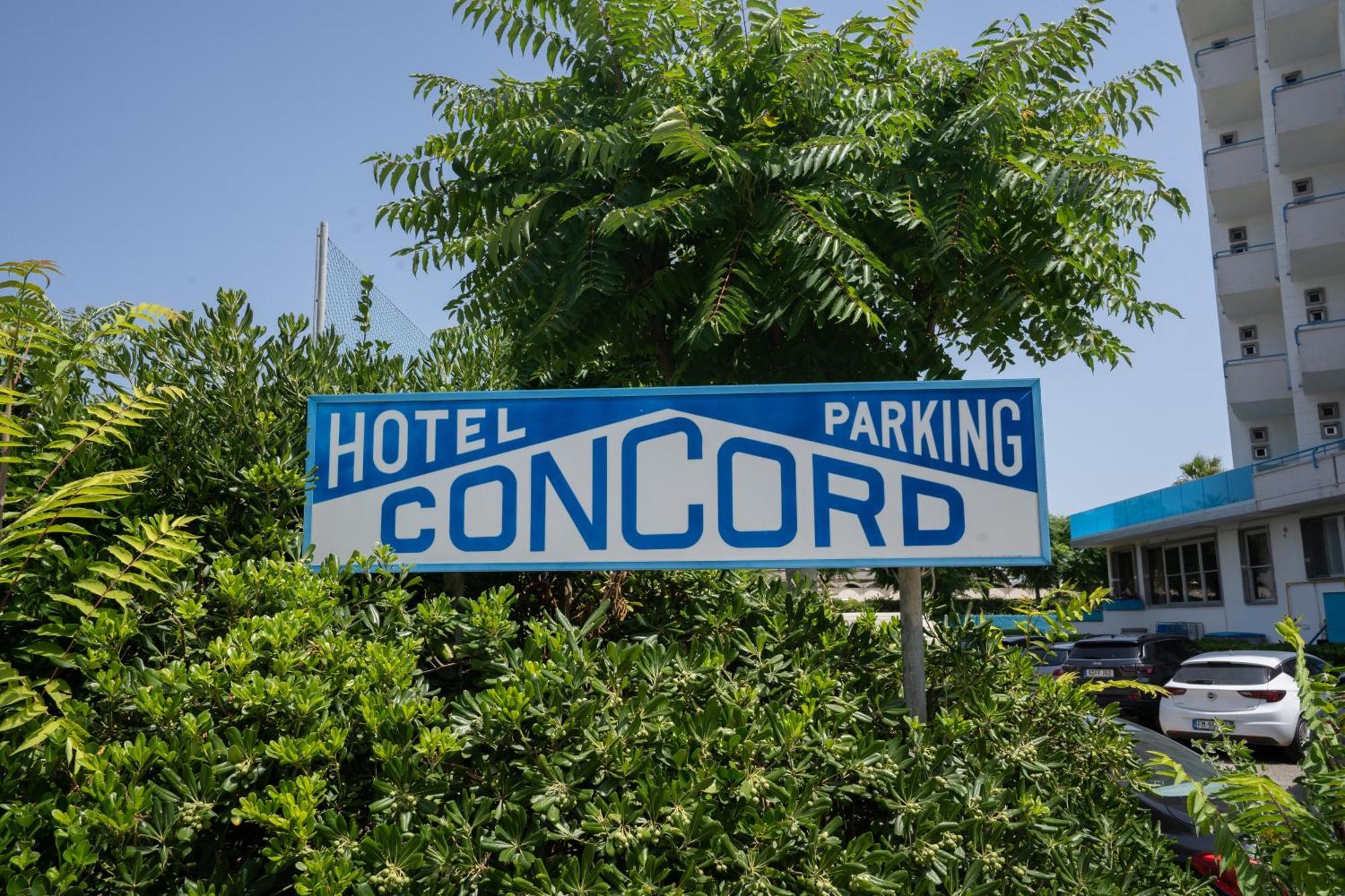Concord Hotel 3*